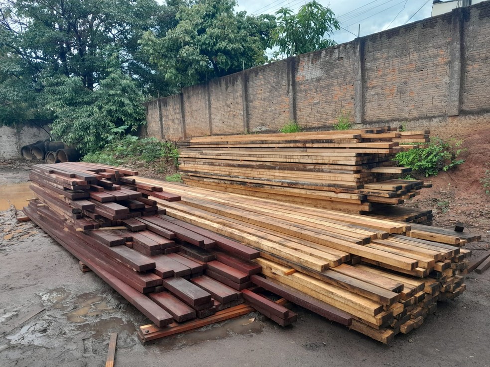 Madeireira é multada em R$ 5 mil por depósito e venda irregular de madeira, em Presidente Prudente (SP) — Foto: Polícia Ambiental