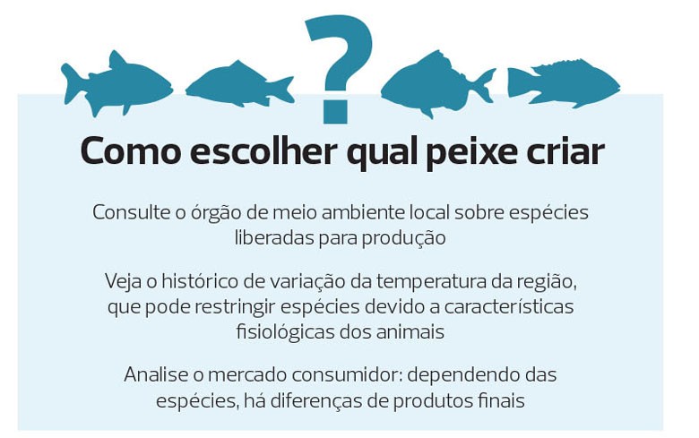 como-escolher-qual-peixe-criar-cativeiro (Foto: Filipe Borin/Ed. Globo)