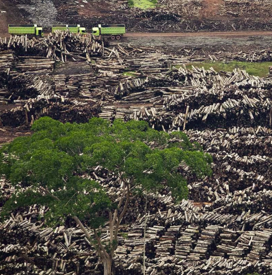 Imagem aérea de desmatamento divulgada pelo Pnuma. (Foto: Divulgação/iStockphoto/Gyi/Pnuma)
