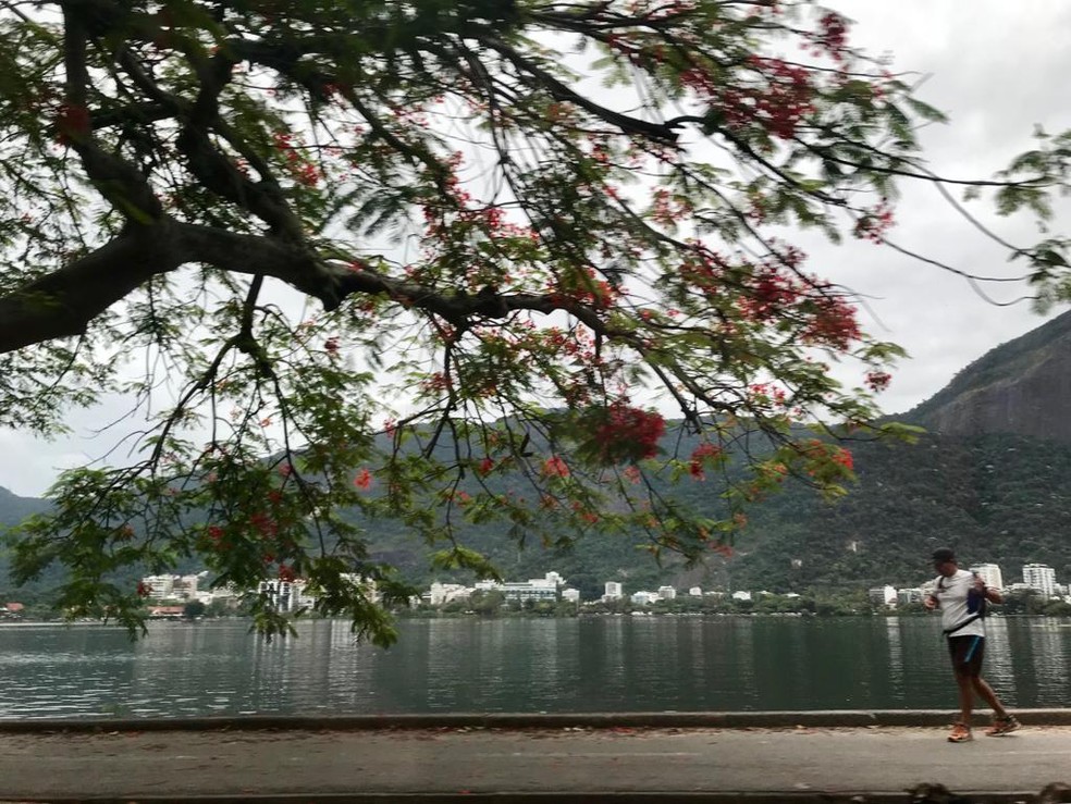 Lagoa Rodrigo de Freitas na manhã desta quarta-feira  — Foto: Káthia Mello/G1
