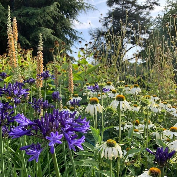 Inglaterra: o Kew Gardens, no centro da cidade de Londres, tem a maior coleção de plantas vivas do mundo. (Foto: reprodução / Instagram)