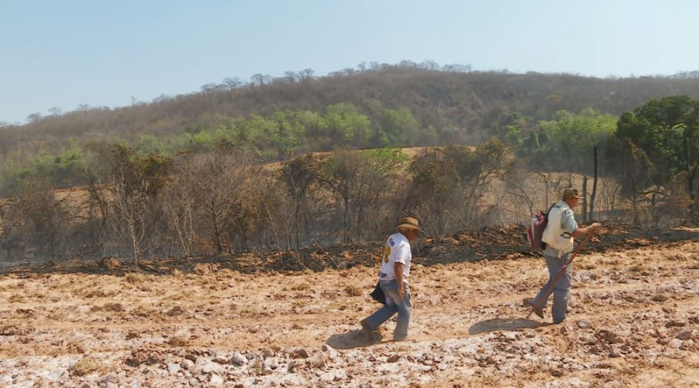 Fiéis percorrem mata queimada em direção à santuário construído em homenagem à Nossa Senhora em Cajuru (SP) — Foto: Chico Escolano/EPTV