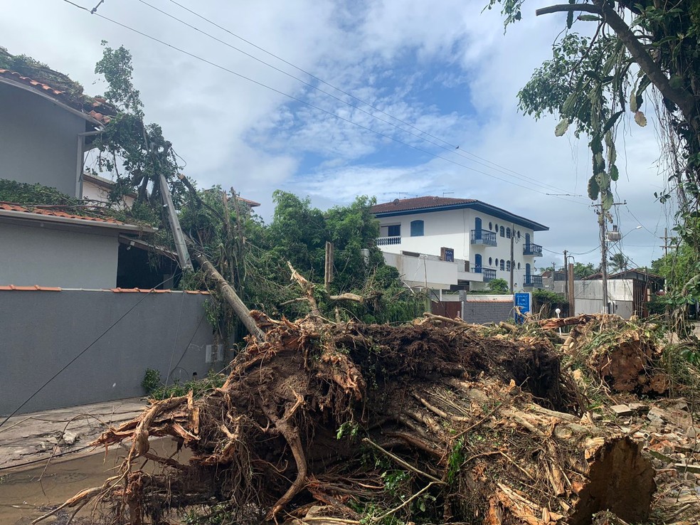 Árvore cai sobre casa no Itaguá, em Ubatuba — Foto: João Mota/TV Vanguarda