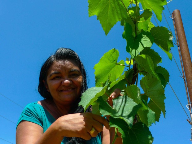 Sônia Silva acredita que o plantio de uva é alternativa para incrementar a renda dos assentados (Foto: Fred Veras/Sebrae)