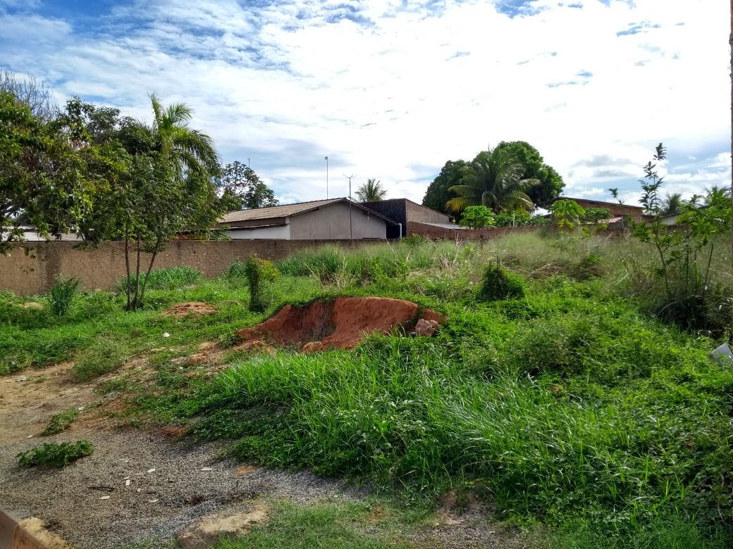 Proprietários de 629 terrenos são autuados por falta de limpeza em Boa Vista