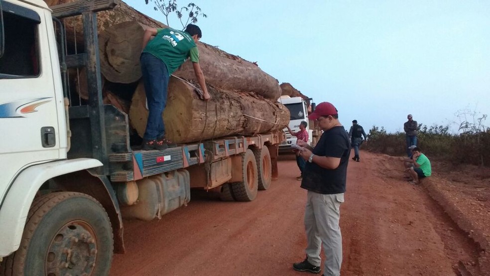 Operação combate desmatamento ilegal no Sul de Lábrea — Foto: Ipaam/Divulgação