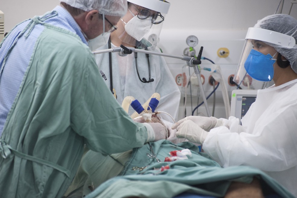 Profissionais de saúde atendem paciente internado com Covid-19 em hospital de São Paulo, em foto do dia 31 de maio de 2021.  — Foto: Mister Shadow/Estadão Conteúdo