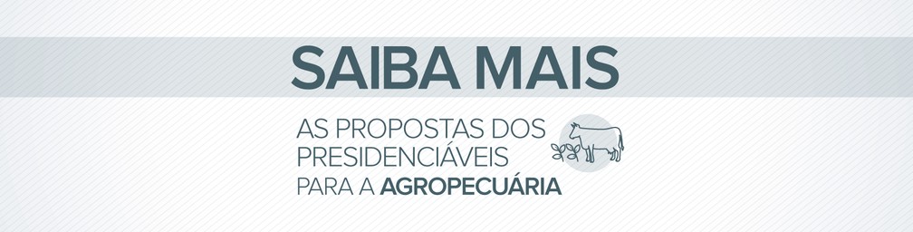 As propostas dos presidenciáveis para a agricultura — Foto: Alexandre Mauro/G1