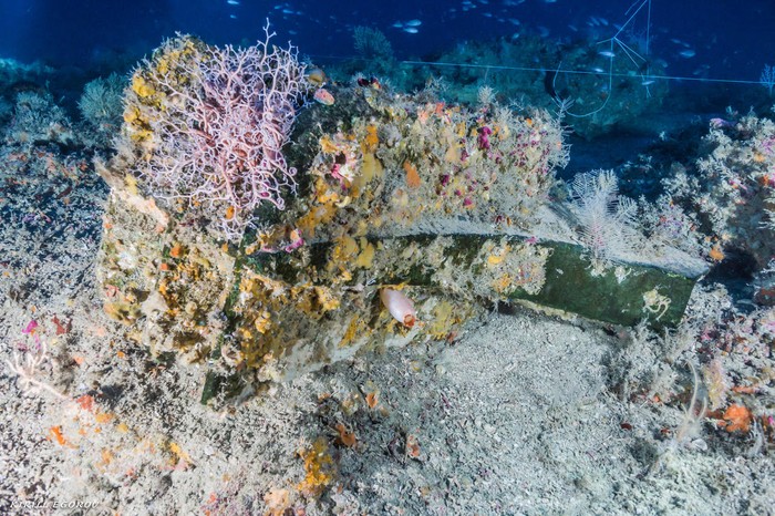 Parte do navio no fundo do mar perto da Sicília, encontrada a uma profundidade de quase 90 metros (Foto: K. Egorov / Società per la Documentazione dei Siti Sommersi – Global Underwater Explorers (SDSS-GUE))