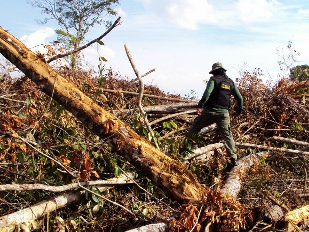 Operação Pequiá percorreu mais de 4 mil km na região do vale do Araguaia, verificando indicativos de desmatamento  (Foto: Hebert Rondon/Ibama)