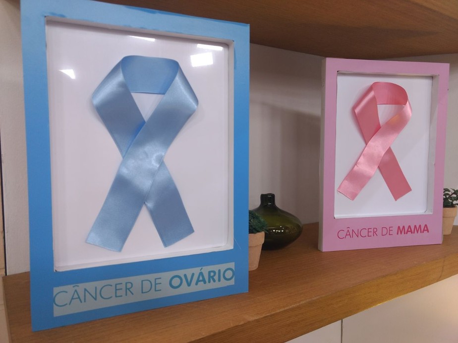 Saúde das mamas e dos ovários: como evitar e tratar o câncer