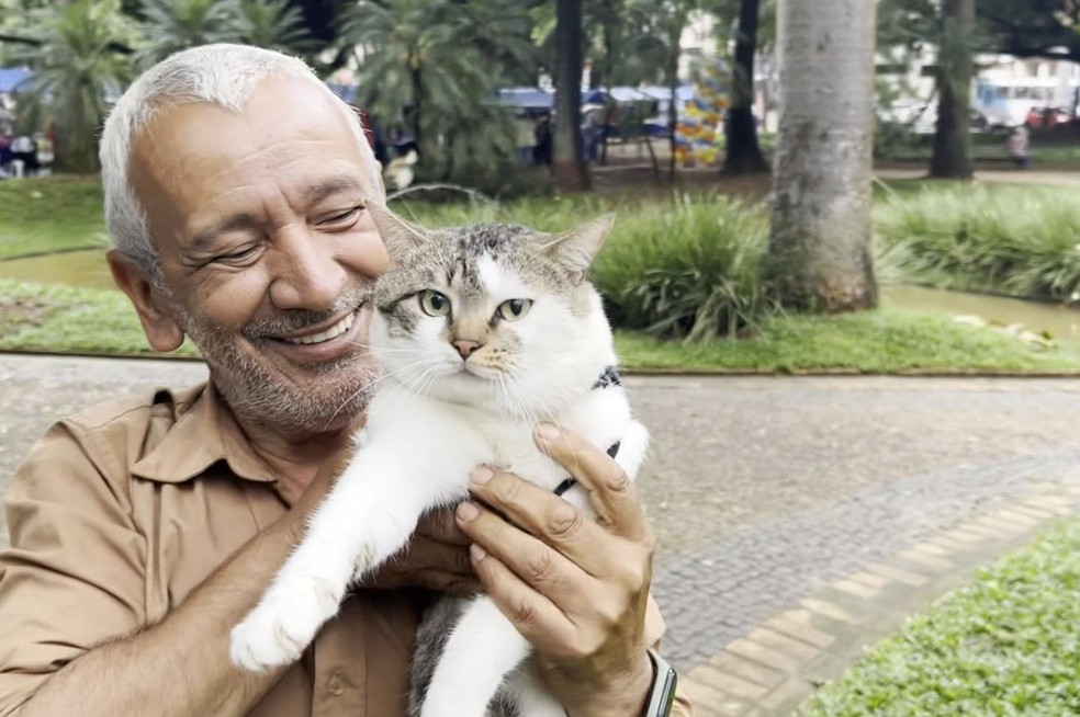 Um dos gatos do casal Jorge e Marilene, que mora na Praça Carlos Gomes, em Campinas — Foto: Johnny Inselsperger/EPTV