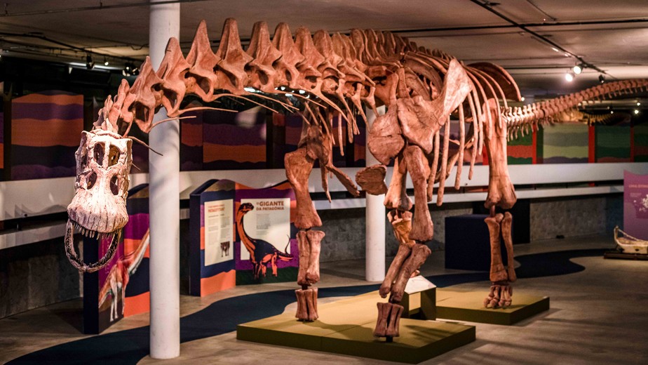 Réplica do esqueleto do Patagotitan, maior dinossauro já encontrado, com 40m