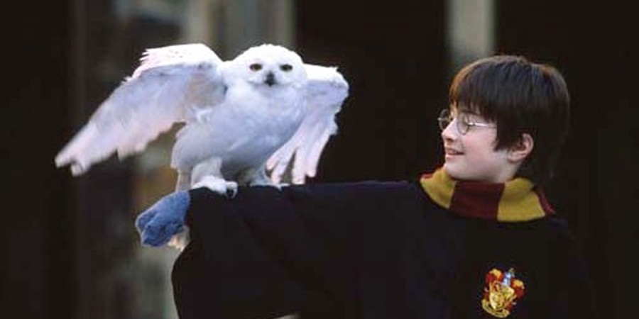 J.K. Rowling desmentiu o boato de que a anuidade em Hogwarts custaria US$ 43 mil (Foto: Divulgação)