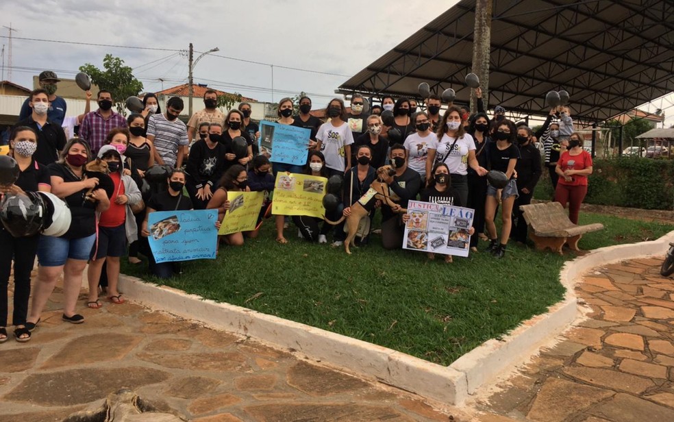 Moradores pedem justiça por cachorro morto em Inhumas, Goiás — Foto: Ana Paula Caponii/Arquivo pessoal