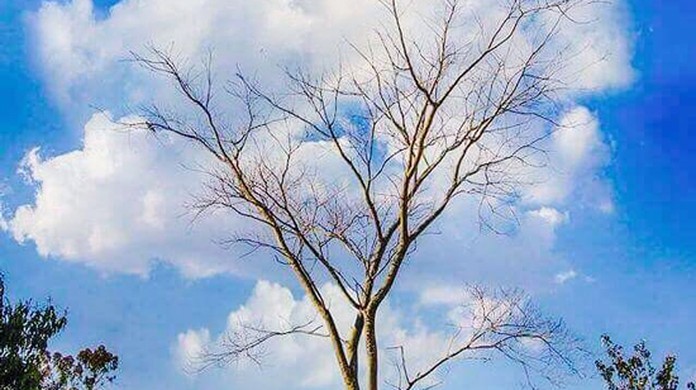 Mulher Ganha Premio De Foto Na Italia E E Acusada De Ter Copiado Imagem De Fotografo No Interior De Sp Sorocaba E Jundiai G1