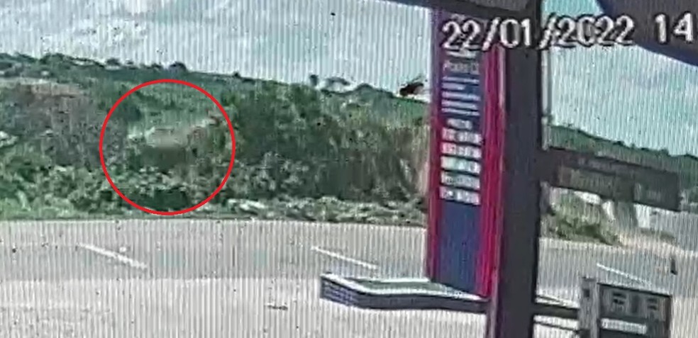 Carro voa após subir monte de areia e cair em ribanceira em Pereiro, no Ceará — Foto: Reprodução