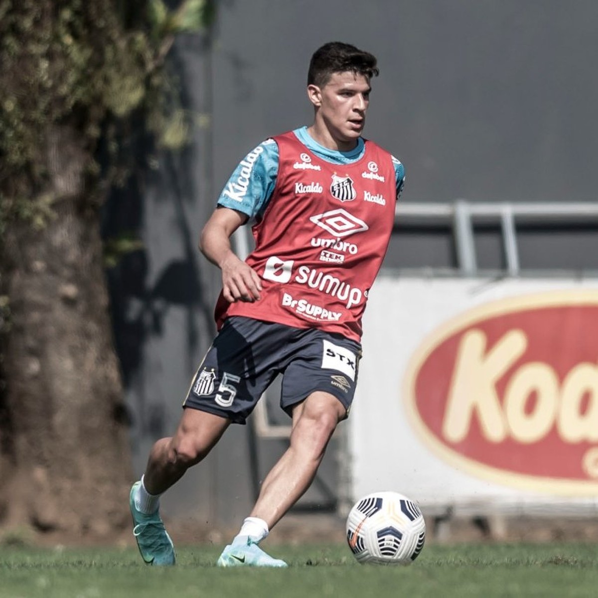 Recém-chegado, Augusto Galván treina no Santos pela ...