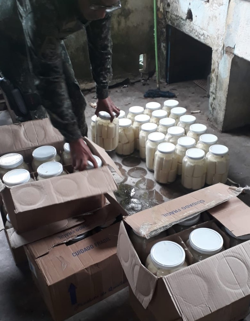 Homem que comandava fábrica clandestina de palmitos foi multado em R$ 69 mil — Foto: Divulgação/Polícia Militar Ambiental