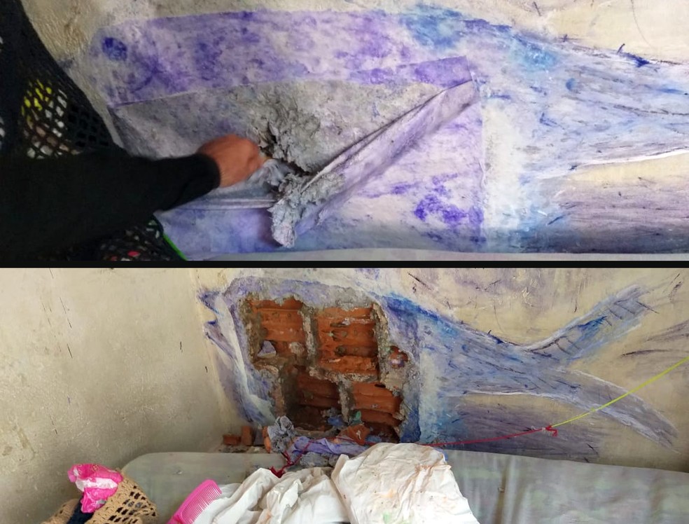 Presas camuflam escavação na parede da cela com desenho de peixe em Ouro Preto do Oeste (RO) — Foto: Singeperon/Reprodução