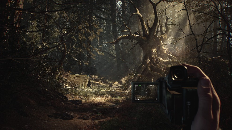shadow of the blair witch download free