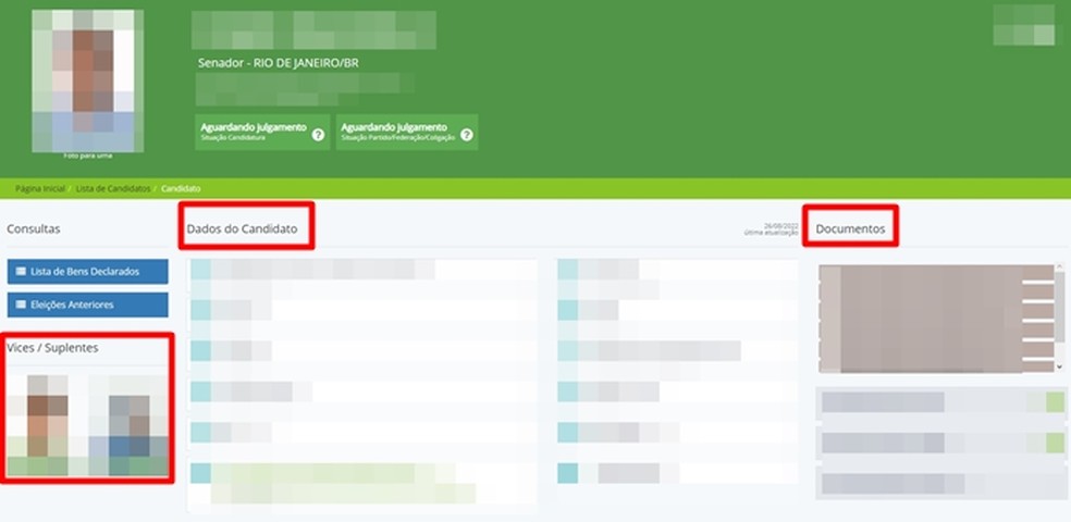 Site do TSE mostra informações completas sobre o candidato a senador escolhido — Foto: Reprodução/Gabriela Andrade