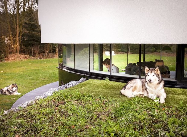 casa-projetada-para-cachorros-arquitetura-decoração (Foto: Reprodução)