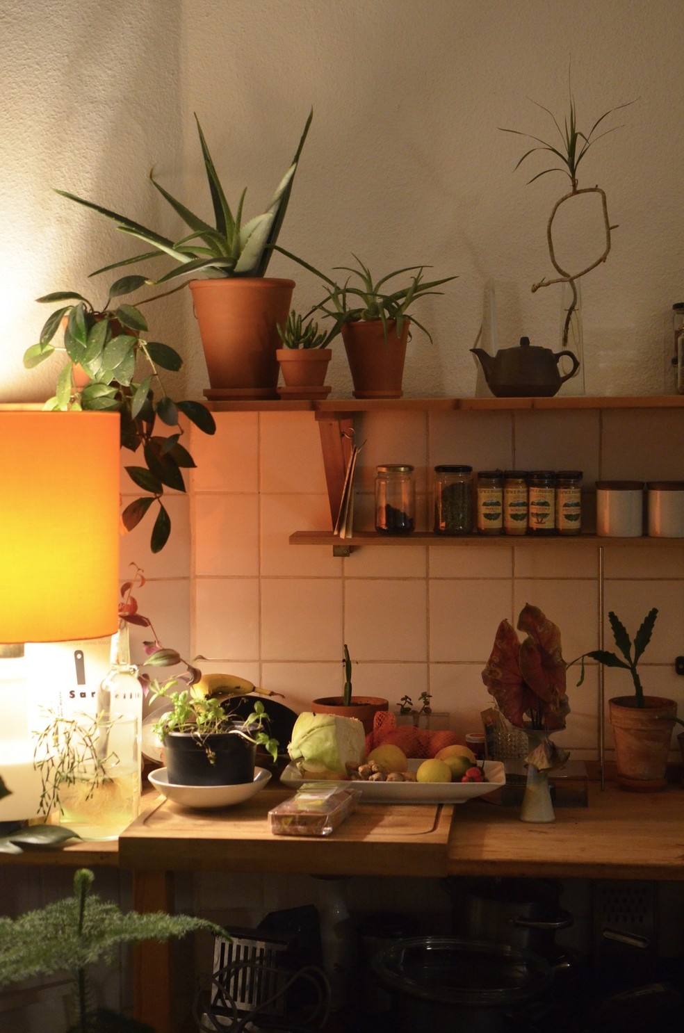 Plantas na cozinha podem ficar entre o fogão e a pia para trazer equilíbrio — Foto: Pexels / Skylar Kang / CreativeCommons