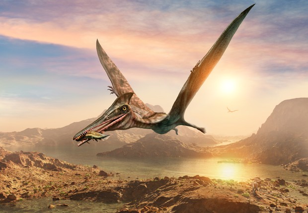 pterossauro, dinossauro, (Foto: Getty Images)