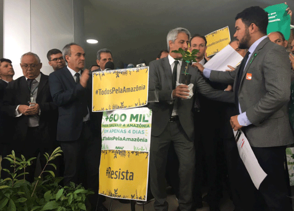 ONGs entregaram mudas de ipês para parlamentares na Câmara (Foto: Alessandra Modzeleski/G1)