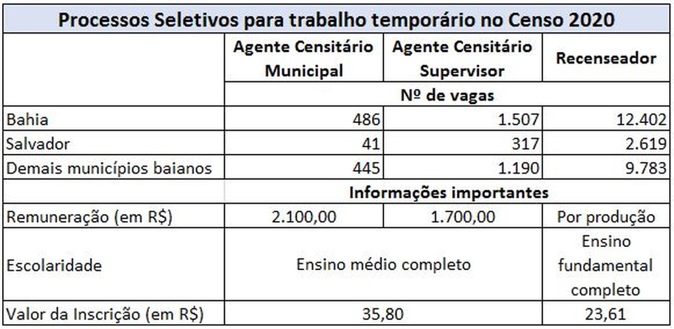 Resumo das vagas temporárias para ao Censo 2020 na Bahia  — Foto: Divulgação/IBGE