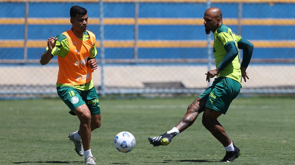 Danilo Barbosa e Felipe Melo em disputa no treino do Palmeiras — Foto: Cesar GrecoPalmeiras