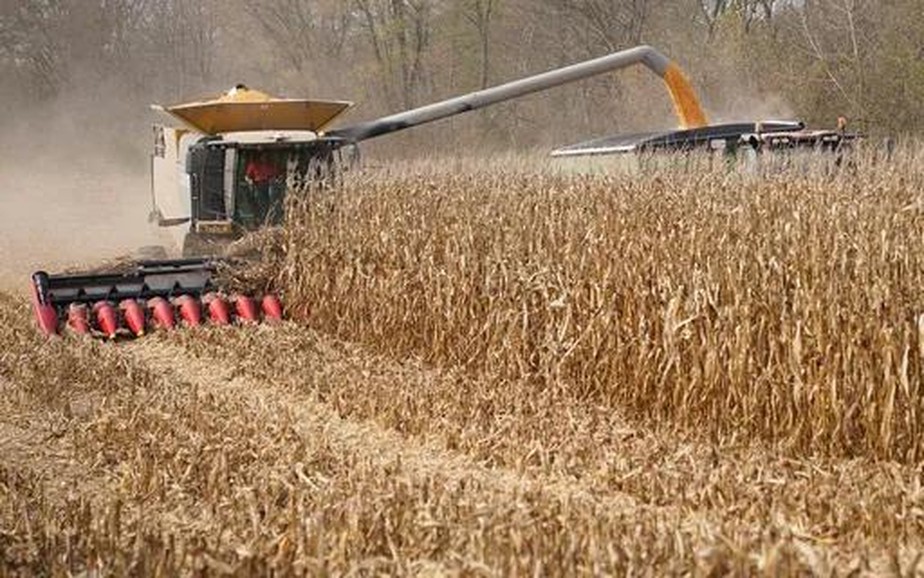 Colheita de soja e milho dos Estados Unidos está perto do final. Grãos caem nesta terça-feira