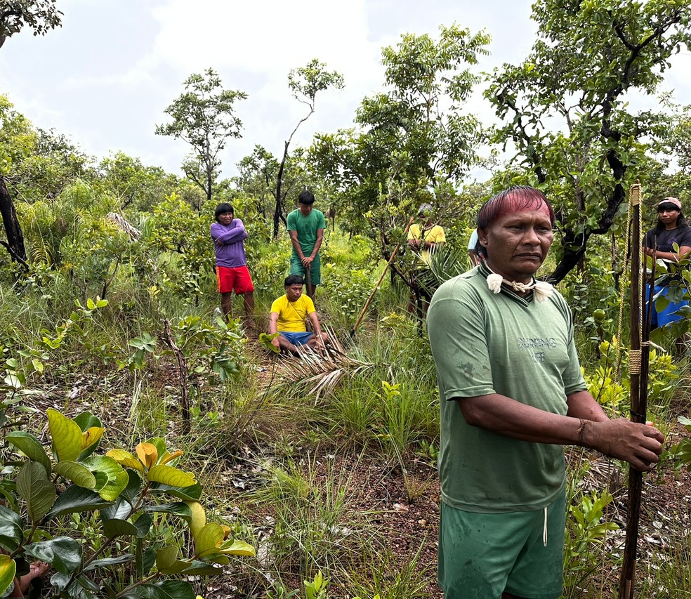 Grupo de indígenas da Aldeia Pequi auxiliou nas buscas. — Foto: PJC
