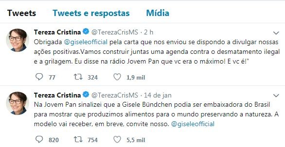 Tereza Cristina tuitou para Gisele (Foto: Reprodução/Twitter)