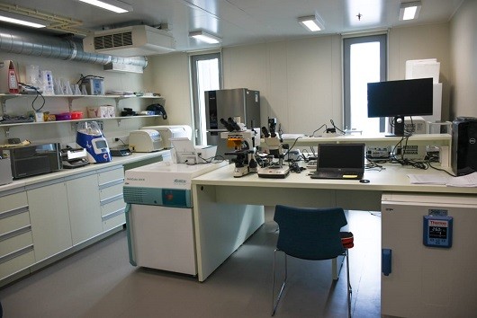 FioLab, o laboratório da Fiocruz na Antártica (Foto: Paulo Lara)