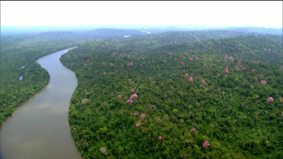 Ministro do Meio Ambiente e embaixadores admitem hipótese de extinção do Fundo Amazônia