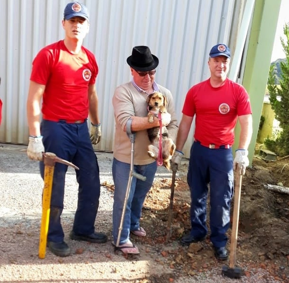 Cadela é resgatada após ficar 5 dias presa em encanamento em Ituporanga (Foto: Corpo de Bombeiros/Divulgação)