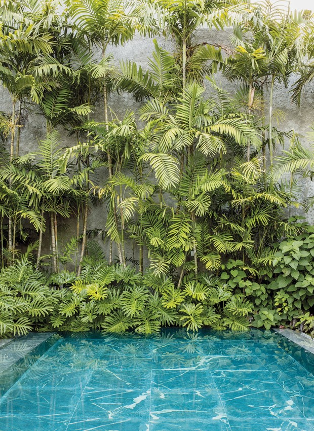 A piscina é cercada por plantas e árvores (Foto: Stephan Ruiz/ Reprodução)