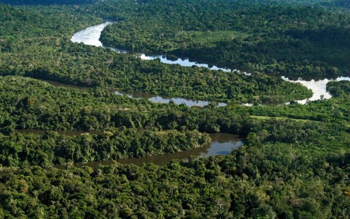 Sustentabilidade com o Google: ajudando a preservar a Amazônia e a