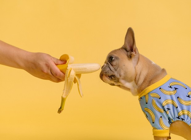 Frutas mais calóricas como a banana podem ser oferecidas desde que em menores quantidades (Foto: Unsplash / Karsten Winegeart / Creative Commons)