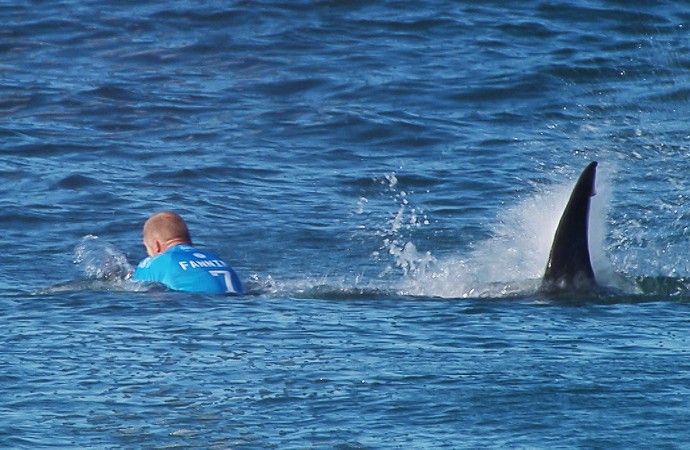 Momento em que tubarão se aproxima de Mick Fanning durante final da etapa de Jeffreys Bay (Foto: Divulgação / WSL)