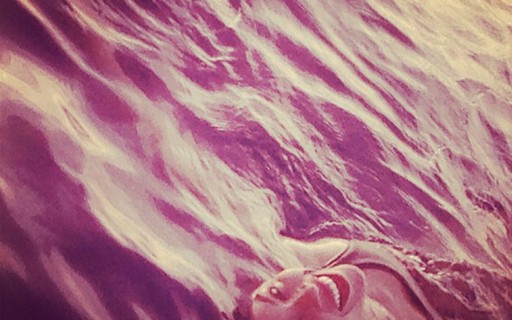 Em temporada de shows pelo Brasil, Beyoncé posta foto no mar - Quem ...