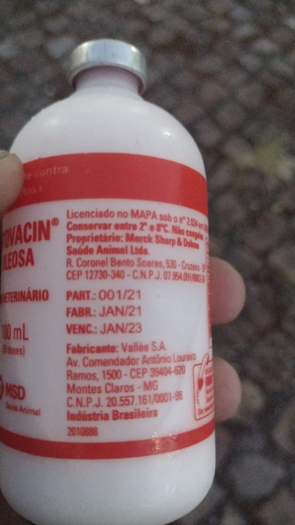 Doses de vacina com vencimento em janeiro de 2023 são apreendidas em Teresina — Foto: Divulgação/Adapi