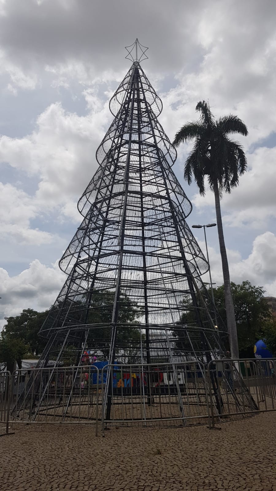 VÍDEO: homem escala árvore de Natal de 12 metros e danifica estrutura em Pará de Minas