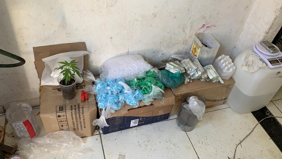 PM faz operação em morros de Santos, SP, e apreende drogas e armas — Foto: Divulgação/Polícia Militar