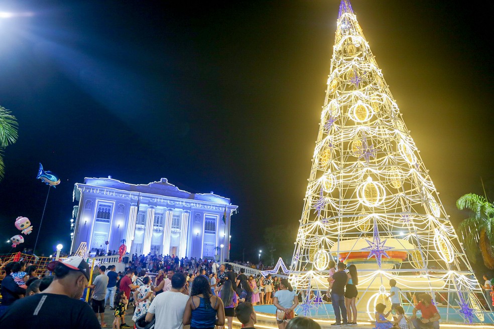 Altura da árvore montada em frente ao Palácio Rio Branco foi uma das divergências encontradas  — Foto: Neto Lucena/Secom