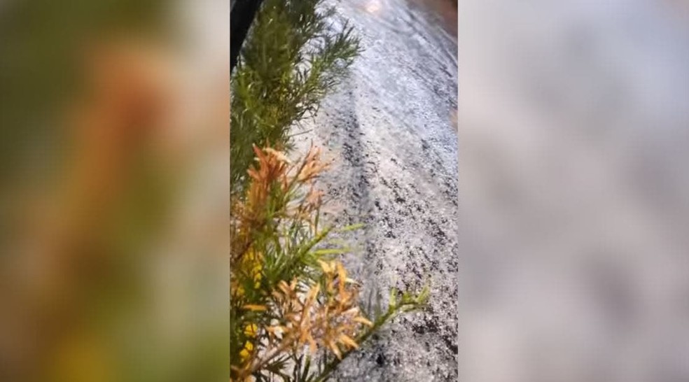 Cerca 1 mil casas foram atingidas pelo granizo em São Cristóvão do Sul — Foto: Reprodução/NSC TV