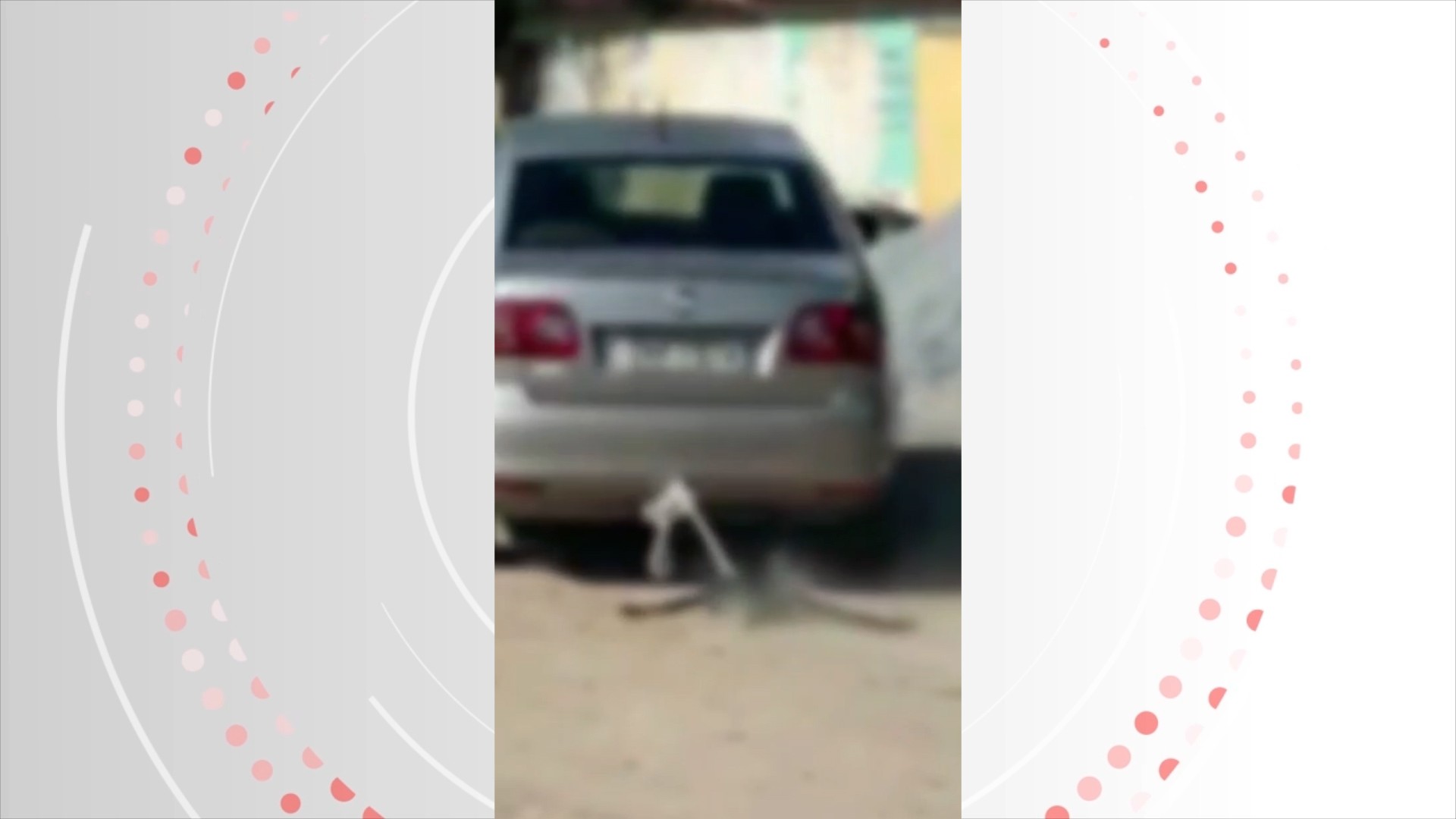 VÍDEO: motorista arrasta cachorro morto amarrado a carro na Cidade Universitária, Maceió