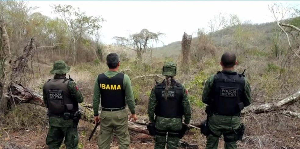 Ibama e BPA realizaram operaÃ§Ã£o em terras indÃ­genas em Alagoas â€” Foto: DivulgaÃ§Ã£o/ Ibama